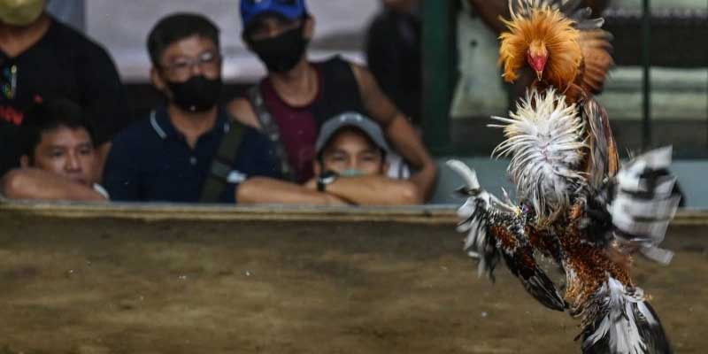 Bí kíp chinh phục game cá cược tại sảnh game